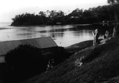 boatshedview.jpg